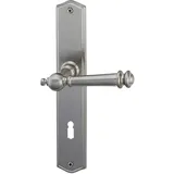 Alpertec BB-Langschildgarnitur Ron Messing Silber