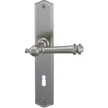 Alpertec BB-Langschildgarnitur Ron Messing Silber