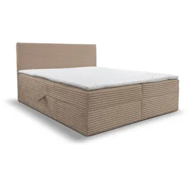venasi TILLY Boxspringbett 160x200 mit 2 Bettkästen H2/H3 Matratze BRAUN CORD TILIA - Braun
