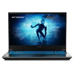 ERAZER Deputy P60i (MD62688) (Schwarz) 15.6