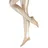 Falke Elegant Step Füßlinge 1 Paar Beige 37-38