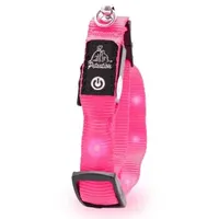 petsation Leuchtendes Katzenhalsband pink