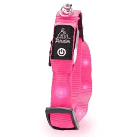 petsation Leuchtendes Katzenhalsband pink