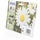 Epson 18 CMYK