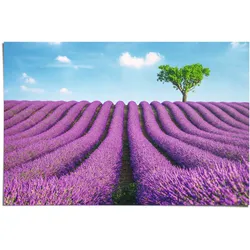 Poster REINDERS "Lavendel Felder", lila (farbe bild(er): lila), B:91,5cm H:61cm, Papier, Bilder