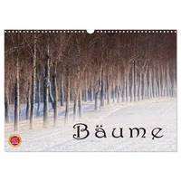Calvendo Bäume (Wandkalender 2026 DIN A3 quer), CALVENDO Monatskalender: