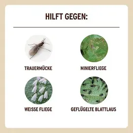 substral® naturen® Naturen Bio Gelbstecker Insektenvernichter 15 Stück