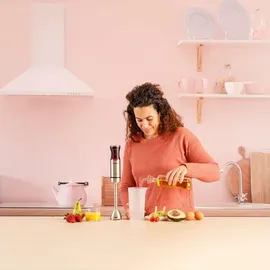 Solac BA5615 Stabmixer