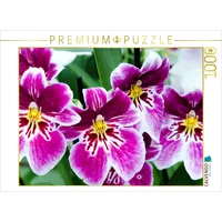 Calvendo Puzzle Miltonia Orchideen 1000 Teile Puzzle quer |