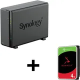 Synology DiskStation DS124 1 Einschub NAS-Server Leergehäuse + 1x Seagate Ironwolf SATA 3.5" HDD 4TB Festplatte