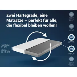 Betten-ABC KSP-500 7-Zonen Kaltschaum 120 x 200 cm H2/H3