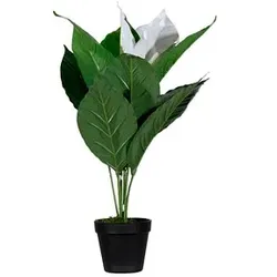 meet powered by PAPERFLOW EINBLATT Kunstpflanze 55,0 cm