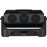 Infinity Raccoon W40/4 Professionelle Reinigung