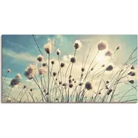 ARTland Artland, Bilder, Wollgras T2GI (60 x 30 cm)