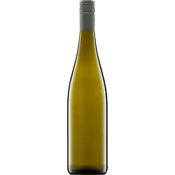 Ried Dechant Grüner Veltliner 1. Lage Weingut Jurtschitsch 2021 BIO