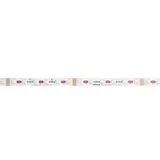 dotlux RGBW CURVE LED-Streifen 5082-0RGBW5M 96 W RGB 500 cm