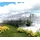 baumera Klasika Easy Gewächshaus verzinkt Transparent Polycarbonat 6 mm 24 m2