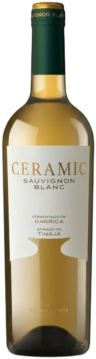Ceramic Sauvignon Blanc 2024 – Vicente Gandía