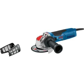 Bosch GWX 19-125 S Professional