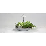 Venso Parus SUNLiTE 7W LED Pflanzenlampe Weiß