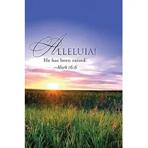 Abingdon Pr Alleluia! Easter Sunrise Bulletin 2013, Regular (Package of 50)