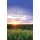 Abingdon Pr Alleluia! Easter Sunrise Bulletin 2013, Regular (Package of 50)