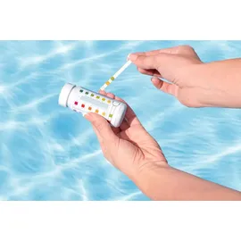BESTWAY Dosierschwimmer Testkit 16,5 cm Ø