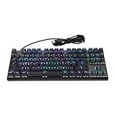 Fdit Mechanische Gaming Tastatur, 87-Tasten RGB Hintergrundbeleuchtung Mechanische Tastatur mit Leuchtenden Tastenkappen, Kabelgebundene USB Computertastatur(Schwarzer, Blauer Schalter)