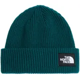 The North Face Salty Lined Mütze - Pacific Teal - One Size