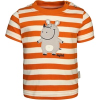 sigikid - T-Shirt HIPPO gestreift in orange, Gr.68
