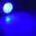 ChiliTec 5W LED Spot GU10 LDS-50 38° - Dekostrahler Lichtfarbe grün