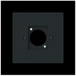 Busch-Jaeger Zentralscheibe XLR 2553-45M 2CKA001724A4451