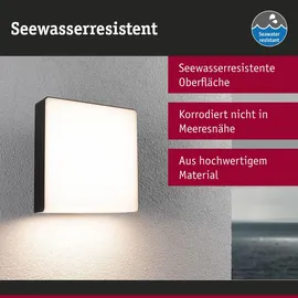 Paulmann 94840 LED-Außenwandleuchte LED Außenwandleuchte Azalena Bewegungsmelder mit Hochfrequenz-Sensor IP44 250x97mm 8.5W Anthrazit