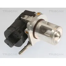 TRISCAN AGR-Ventil 8813 23040