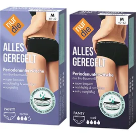 NUR DIE Perioden-Panty Alles Geregelt 2er Pack