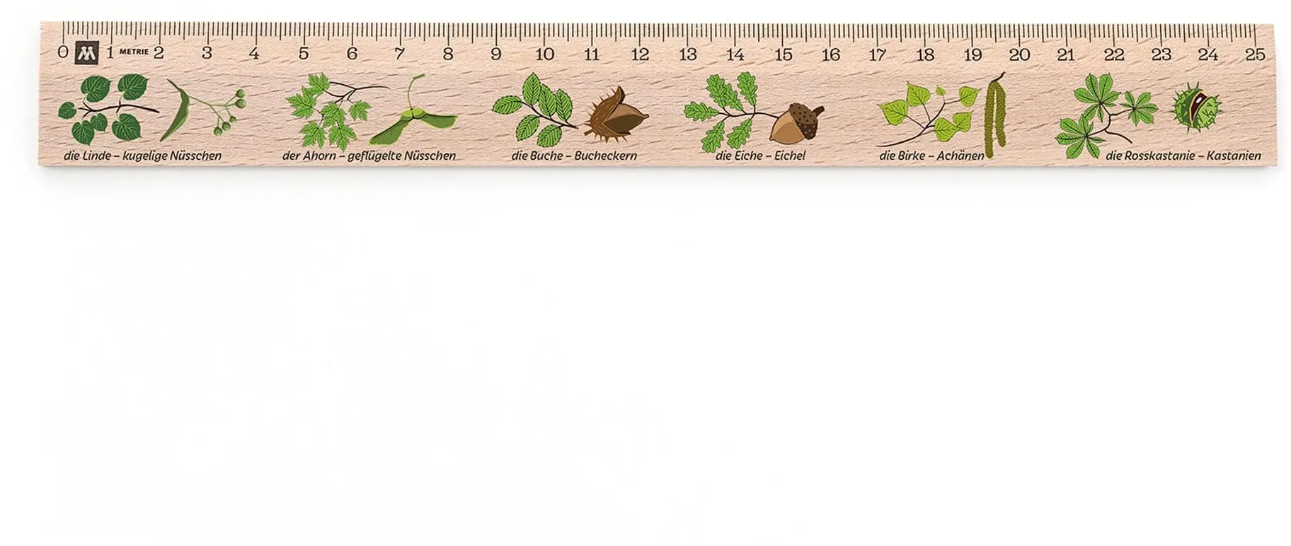 Metrie, Didakt-M07 Holzlineal, bedrucktes Laubbäume, 25 cm