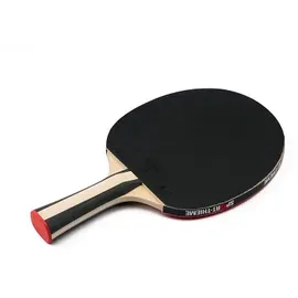 Sport-Thieme Advanced