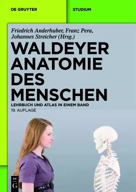 Waldeyer Anatomie Des Menschen - Anton Waldeyer  Gebunden