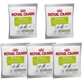 Royal Canin Educ | 5er Pack | 5 x 50 g | Ergänzungsfuttermittel für Hunde | Kalorienarme Belohnung zur Erziehung und Training | Mit Vitaminkomplex zur Unterstützung der Zellen