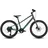 20 Zoll RH 25,5 cm lavagrey'n'coolgreen