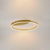 s.luce LED Ring Wandlampe & Deckenleuchte Dimmbar modern rund Gold, / Ø 80cm