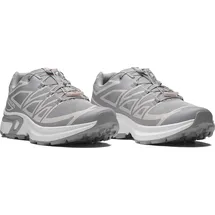 Salomon XT-EVR Herren Grau/Weiß 49