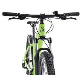 Axess Sandee 29 Zoll RH 53,3 cm Unisex grün