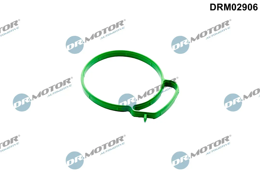 DR.MOTOR AUTOMOTIVE Dichtung, Drosselklappenstutzen drm02906 für Ford