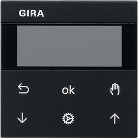 Gira 5366005 S3000 Display System 55 Schwarz