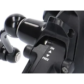 Daiwa 19 Black Widow BR LT 4000-C