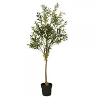 ib laursen Olivenbaum im Topf,