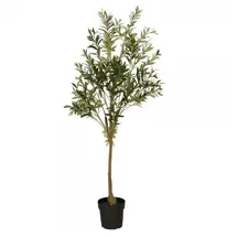 ib laursen Olivenbaum im Topf,