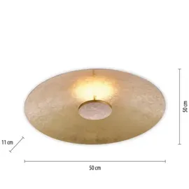 Paul Neuhaus Plate 8132-12