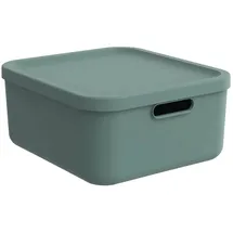 Rotho Aufbewahrungsbox ALBULA 20 l 1-tlg. grün